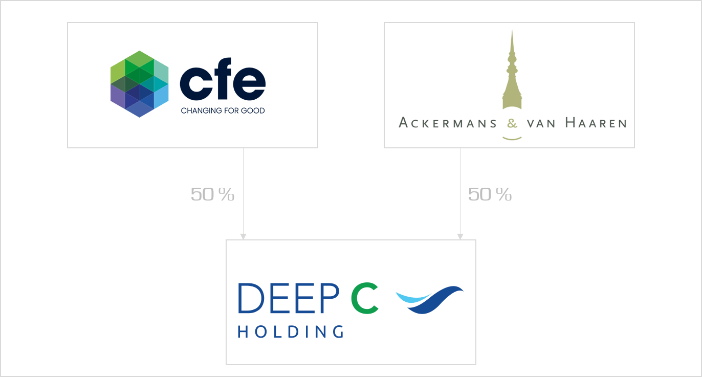 Shareholder structure website